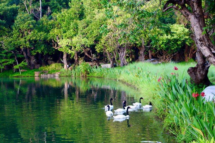 รูป ขายคอนโด Swan Lake Residences เขาใหญ่ Tel.0999983897 - รูปที่ 40/44
