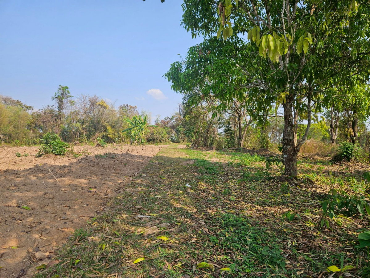 รูป ขายที่ดินติดถนนใหญ่ เชียงราย หน้ากว้าง 168 ม. วิวสวย ใกล้สิงห์ปาร์ค เนื้อที่ 19 ไร่ 1 งาน 65 ตรว - รูปที่ 9/11