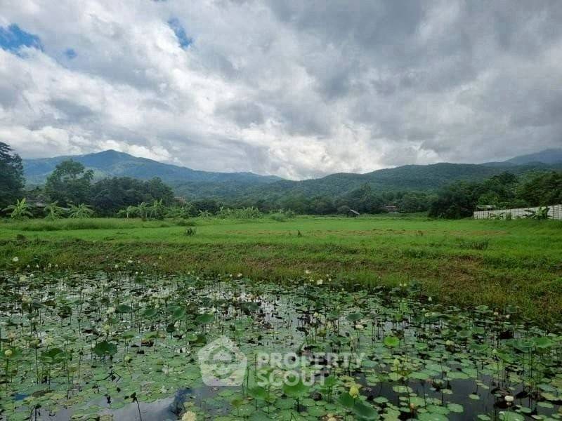 รูป ที่ดินสำหรับปล่อยขาย 35,200 ตารางเมตร แถว ใน โป่งแยง (ID 2719019) - รูปที่ 8/9