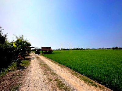 ที่ดิน เมืองเชียงราย เชียงราย : ขายที่ดินเปล่า ผังสีชมพู พื้นที่ 18 ไร่เศษ ต.ริมกก อ.เมือง จ.เชียงราย