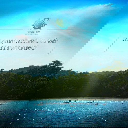 รูป ขายคอนโด Swan Lake Residences เขาใหญ่ Tel.0999983897 - รูปที่ 30/44