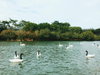 listing thumbnail image 38