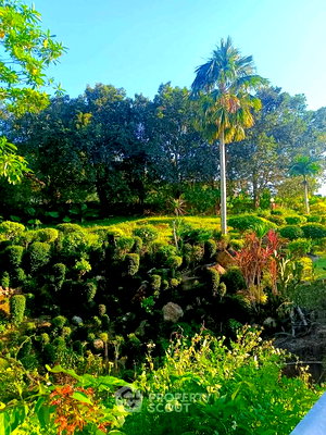 ที่ดิน เกาะสมุย สุราษฎร์ธานี : ที่ดินสำหรับปล่อยขาย 1,600 ตารางเมตร แถว ใกล้ ท่าเรือหน้าทอน (ID 2659819)