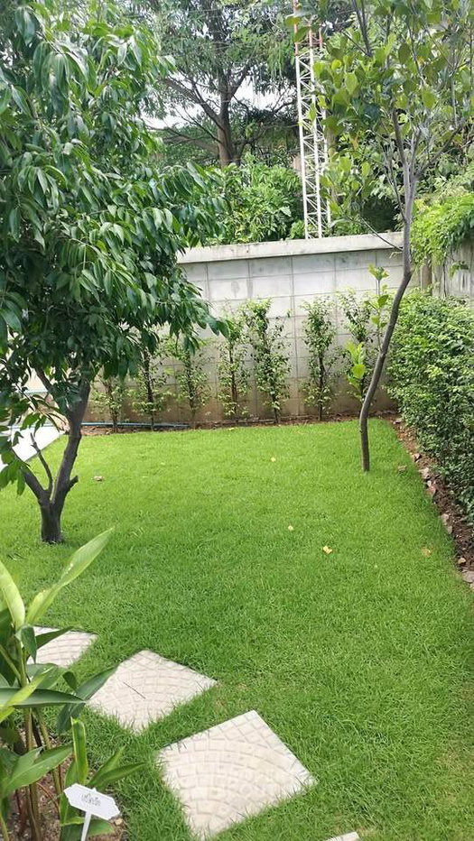 รูป บ้าน 3-ห้องนอน ใกล้ เมืองหัวหิน (ID 2737603) - รูปที่ 10/11