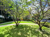 listing thumbnail image 33