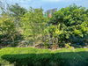 listing thumbnail image 25