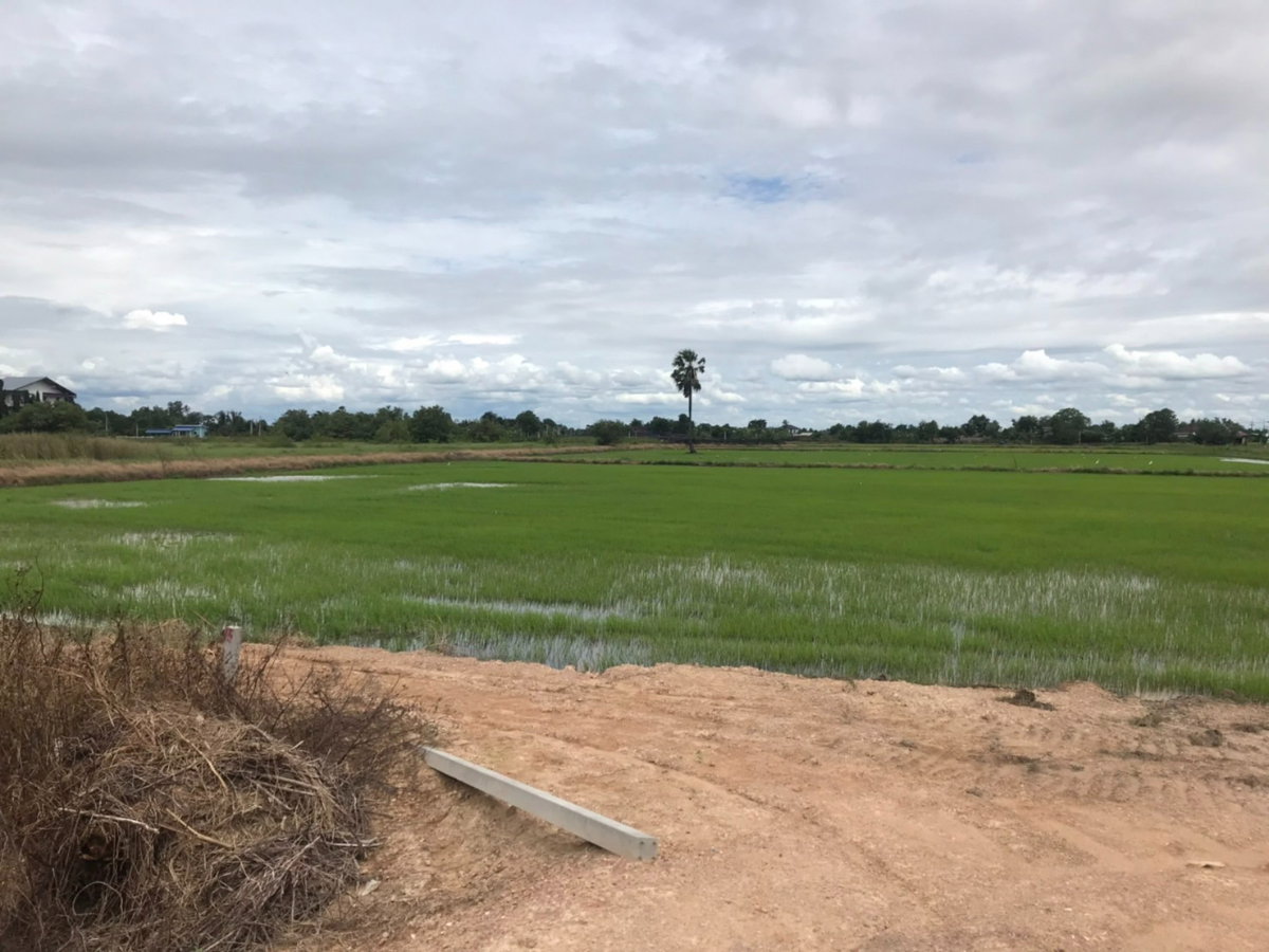 รูป ทำเลทอง ขาเข้าฉะเชิงเทรา ใกล้แยกบางคล้า ติดถนนสายหลัก 304 การคมนาคมสะดวก เหมาะสำหรับพัฒนาโครงการขนาดใหญ่ - รูปที่ 3/3