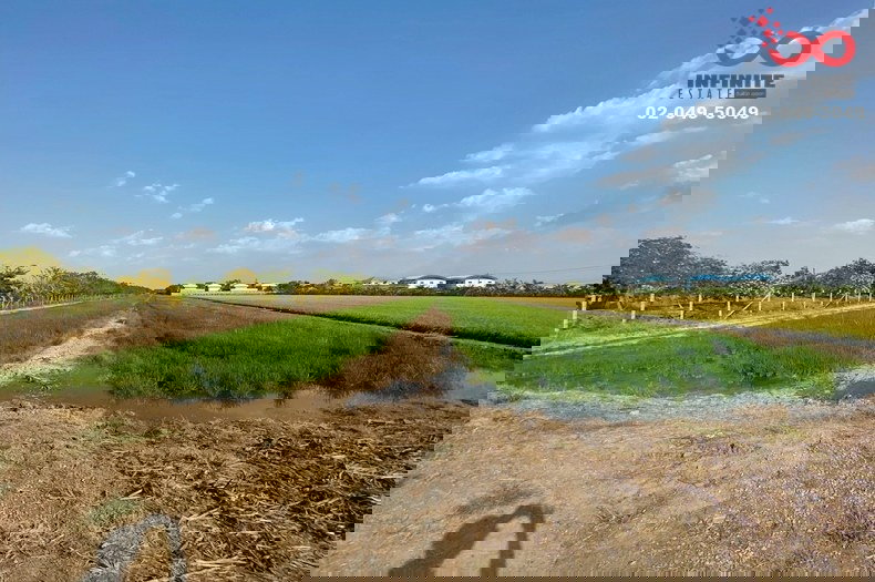 รูป ขายที่ดิน 6 ไร่ ลาดหลุมแก้ว ปทุมธานี ถนนบางบัวทอง-สุพรรณบุรี 340 ซอยคลองโซน 6 - รูปที่ 3/5