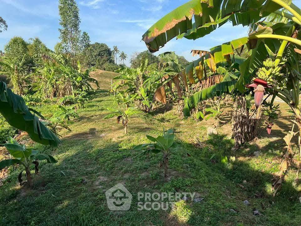 รูป ที่ดินสำหรับปล่อยขาย 1,228 ตารางเมตร แถว ใกล้ ห้วยใหญ่ (ID 2729962) - รูปที่ 2/5