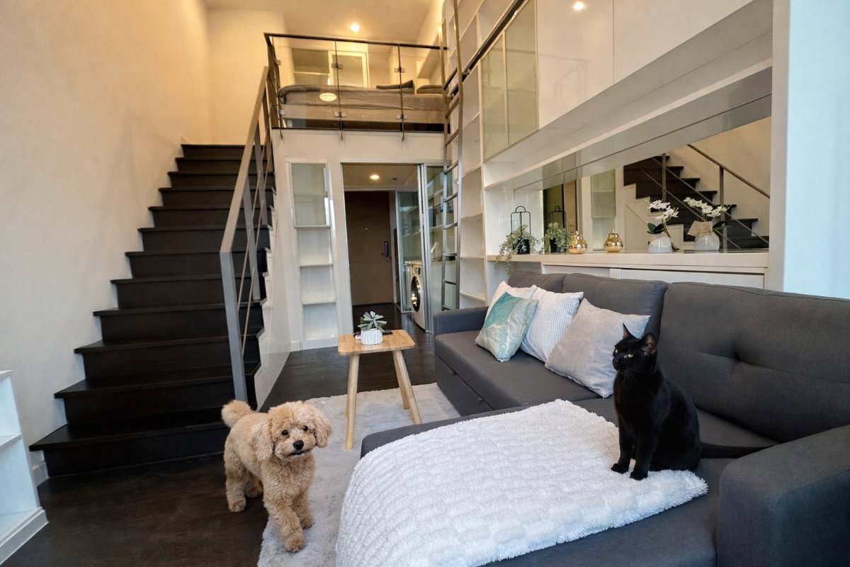 รูป 🍀🍀 🐶Pet Friendly🐱 ให้เช่า📌 ไอดีโอ มอร์ฟ 38(Line: @rent2022)BTS ทองหล่อ พร้อมเข้าอยู่ 🔖A07025 - รูปที่ 3/11