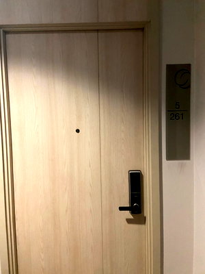 Condos for rent : For Ren Condo Rhythm Sukhumvit 42 Fully furnished S15-15820)