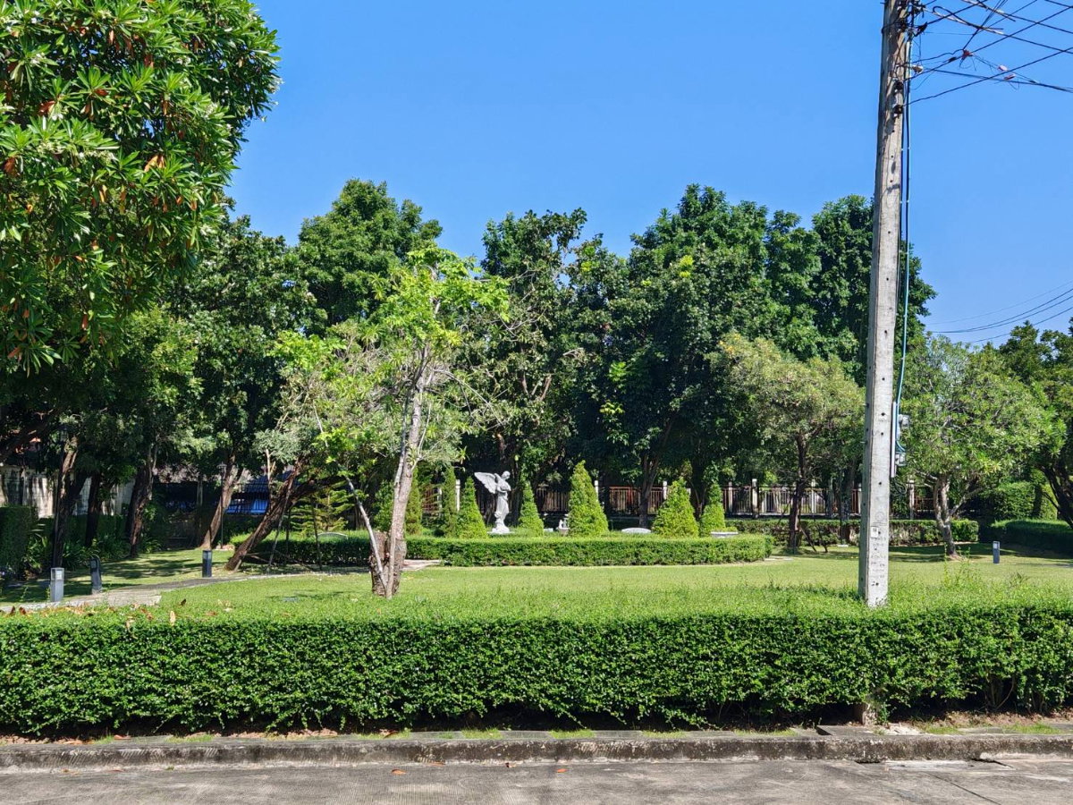 รูป ให้เช่าบ้านเดี่ยว ไลฟ์ บางกอก บูเลอวาร์ด รามอินทรา 65 (53 ตร.ว.) 4 นอน 3 น้ำ แปลงหน้าสวน พร้อมอยู่ - รูปที่ 32/56