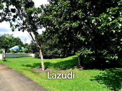 ที่ดิน พี-มาร์ท ซุปเปอร์สโตร์ เชียงราย : ขายด่วน! ที่ดิน 1 ไร่ 2 งานใกล้เซ็นทรัลและตัวเมืองเชียงราย