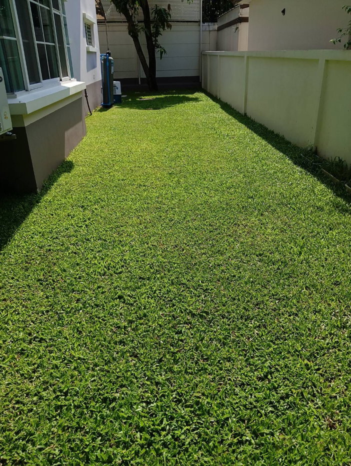 picture ðķ Pet-Friendly Detached House | 4 Beds | 252 sqm | Peaceful Environment | Nantawan Project - 5/24