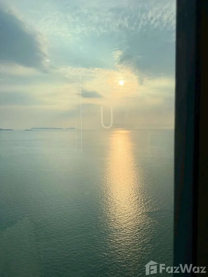 picture Arom Wongamart 6119591 - 16/20