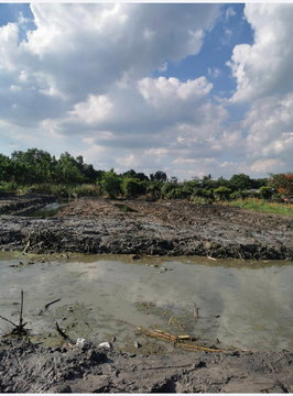 ขายที่ดินเปล่า 1-2-14 ไร่ ลำลูกกา คลอง 13 สายกลาง ใกล้แหล่งชุมชน เข้าซอยเพียง 400 ม.