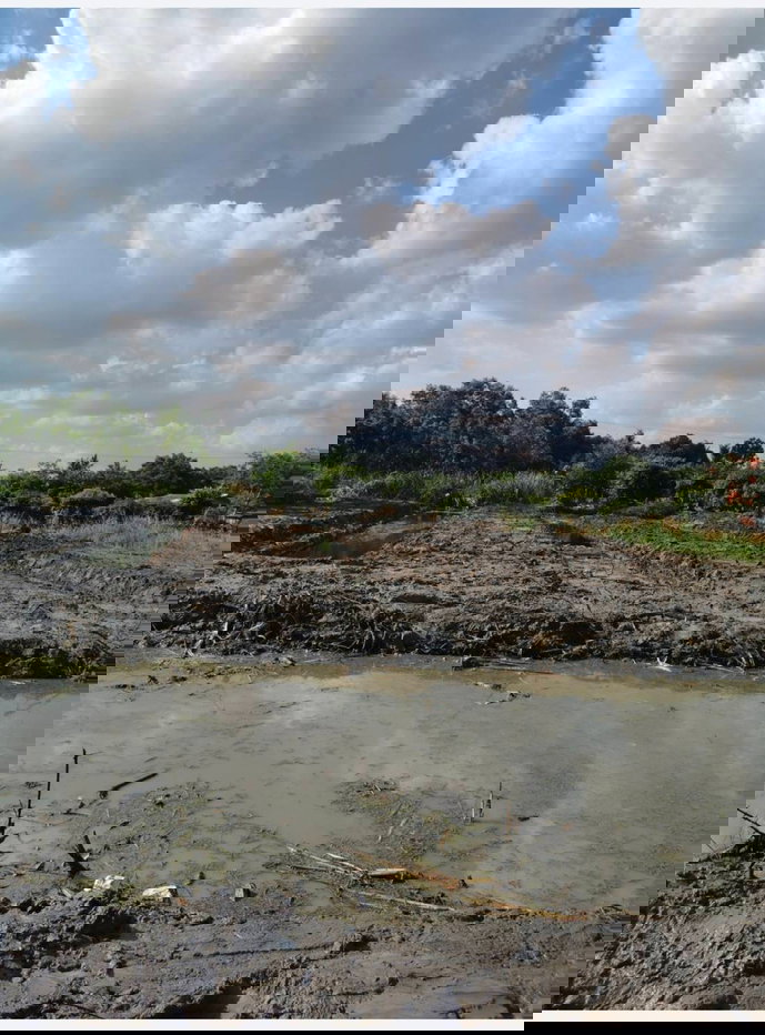 รูป ขายที่ดินเปล่า 1-2-14 ไร่ ลำลูกกา คลอง 13 สายกลาง ใกล้แหล่งชุมชน เข้าซอยเพียง 400 ม. - รูปที่ 1/4