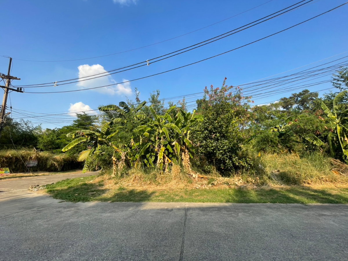 รูป ขาย ที่ดินเปล่า 484 ตรว. หมู่บ้านเมืองเอก โครงการ 4 - รูปที่ 4/7