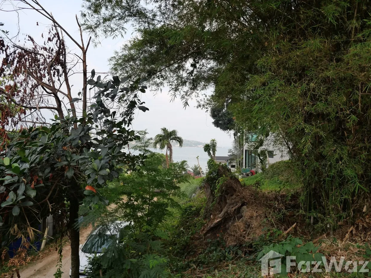 รูป ขาย บ้านเดี่ยว 4 ห้องนอน ใน วิชิต, ภูเก็ต 6117297 - รูปที่ 10/10