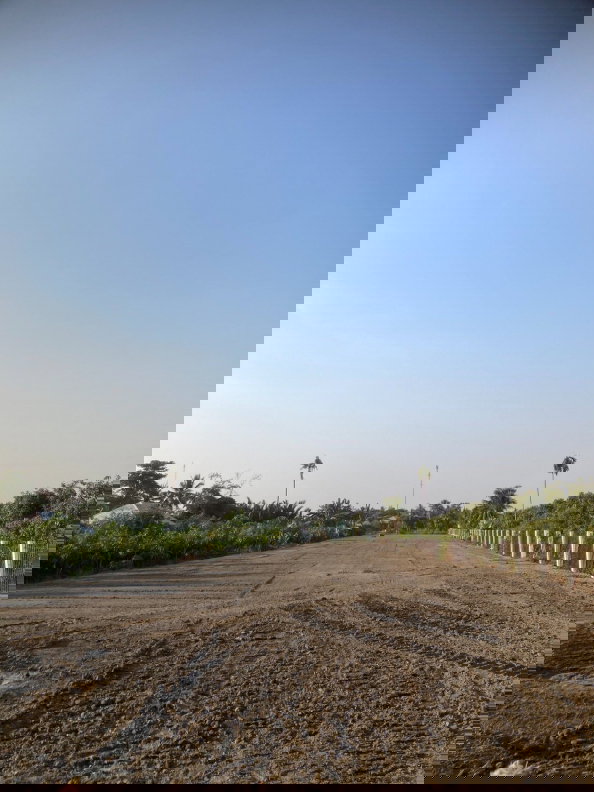 รูป ขายที่ดินถมแล้ว 1 ไร่ 2 งาน 60 ตารางวา ติดแม่น้ำท่าจีน พร้อมโฉนด กระทุ่มแบน สมุทรสาคร ใกล้เซ็นทรัลศาลายา เซ็นทรัลมหาชัย - รูปที่ 4/6