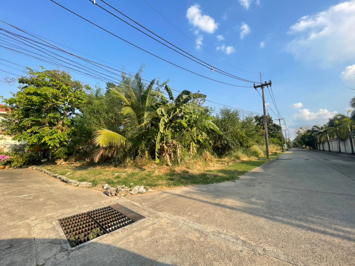 รูป ขาย ที่ดินเปล่า 484 ตรว. หมู่บ้านเมืองเอก โครงการ 4 - รูปที่ 7/7