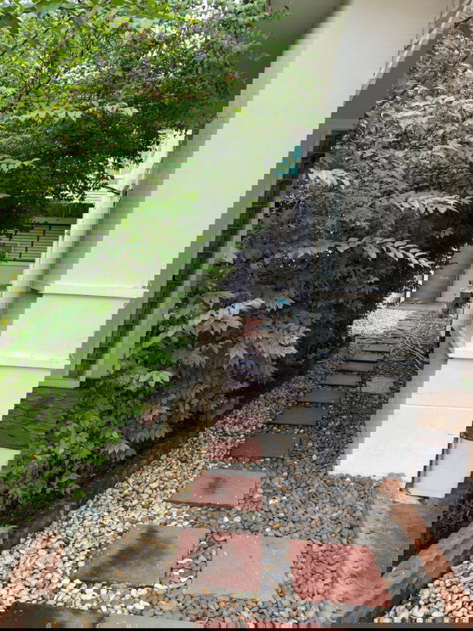 รูป ให้เช่า บ้านเดี่ยว เดอะ เซนโทร รัตนาธิเบศร์ ติดถนนบางกรวย-ไทรน้อย บางเลน บางใหญ่ ใกล้ MRT สถานีบางพลู : - รูปที่ 7/29