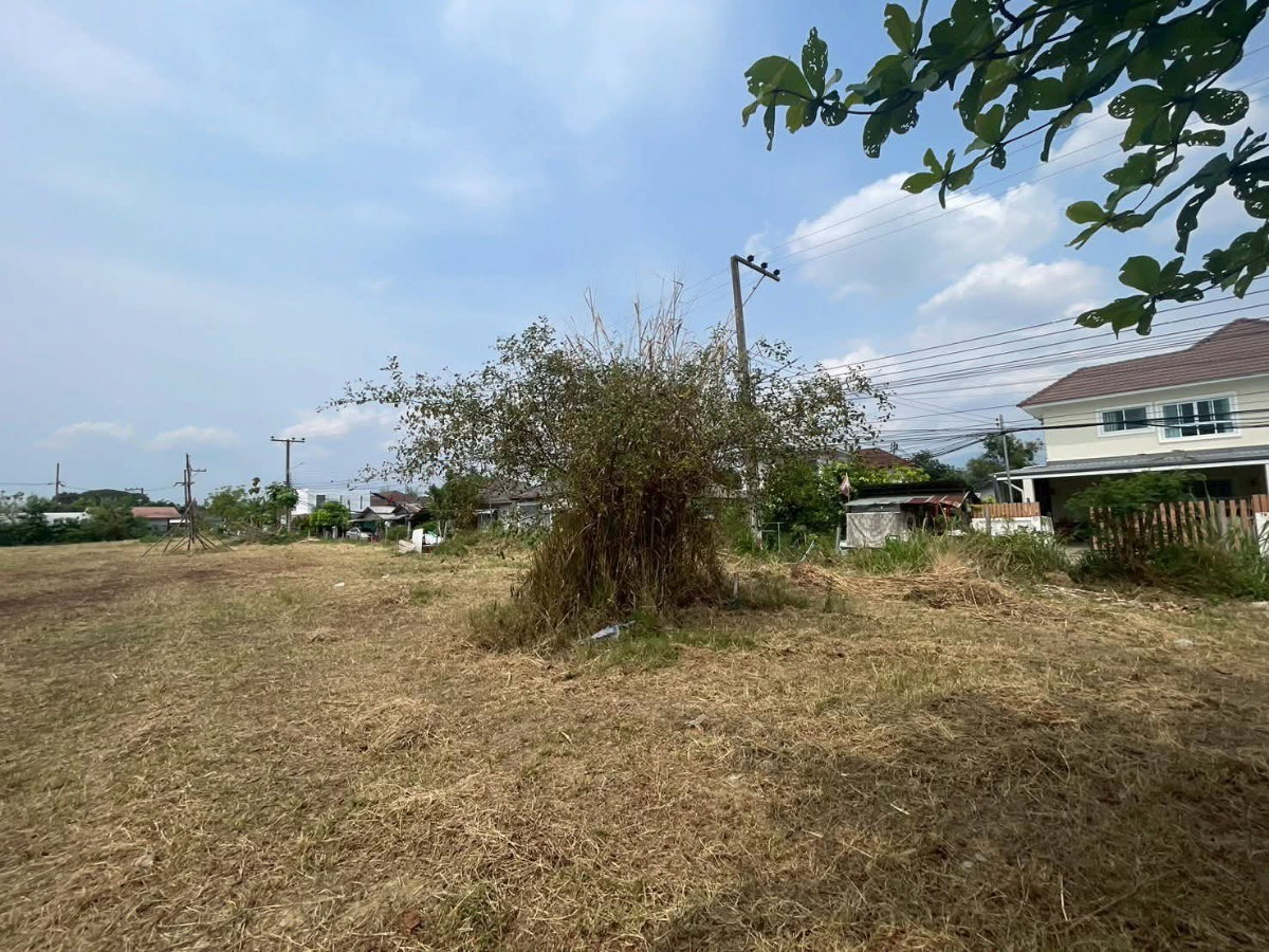 รูป ขายที่ดินบ้านช่างคำหลวงบ้านแหวนหางดงพร้อมโอน - รูปที่ 3/5