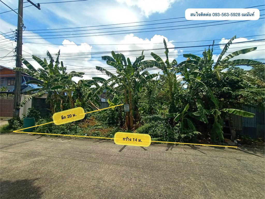 รูป ขายที่ดินเปล่า 70 ตารางวา คลอง2 (ซอยรังสิต-นครนายก33) ใกล้ตลาดพระรูปคลอง2  - รูปที่ 2/7