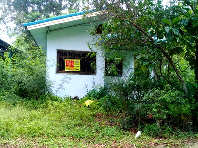 บ้านเดี่ยว ปากพนัง นครศรีธรรมราช : ขายบ้านชั้นเดียวพร้อมที่ดิน อ.ปากพนัง จ.นครศรีธรรมราช พร้อมเข้าอยู่ ทำเลดี ใกล้กรมชลประทาน 