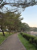 listing thumbnail image 17