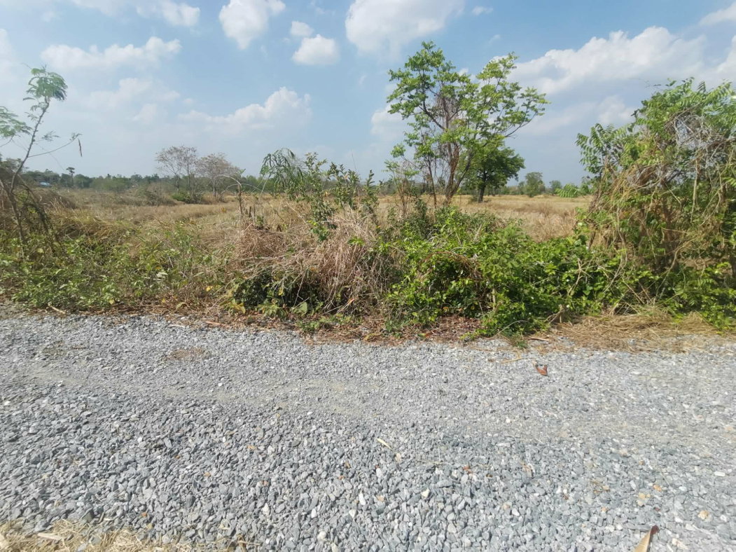 รูป ขายที่ดินโนนไทย ถ.บ้านตะกร้อ ใกล้มอเตอร์เวย์ ทำเลอนาคต ราคาดี 1.3 ลบ. เหมาะลงทุน–ปลูกบ้าน - รูปที่ 9/13