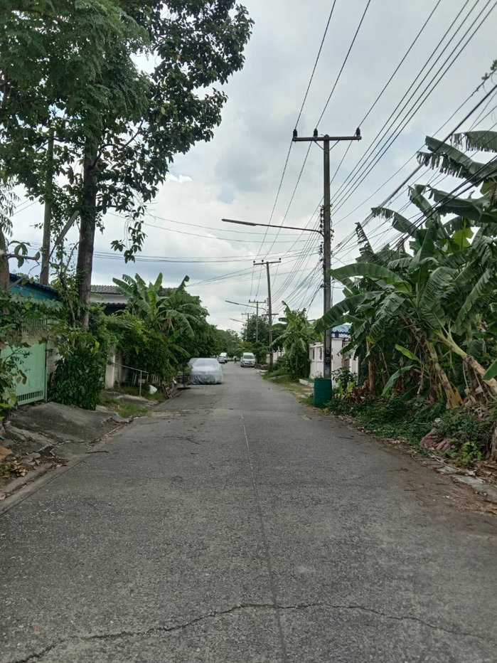 รูป ขายที่ดินเปล่า 70 ตารางวา คลอง2 (ซอยรังสิต-นครนายก33) ใกล้ตลาดพระรูปคลอง2  - รูปที่ 6/7