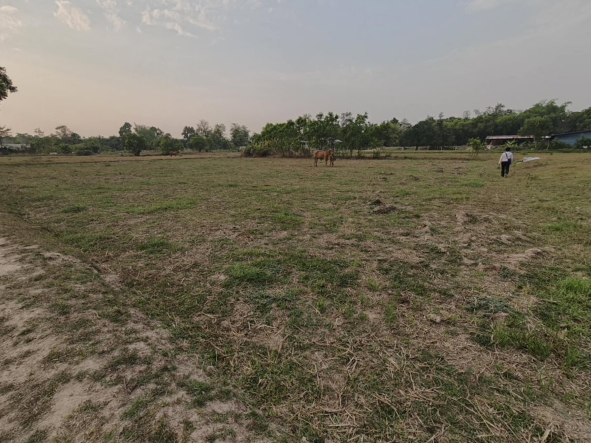 รูป ขายที่ดินแปลงใหญ่ บ้านทุ่งขุนน้อย อุบลราชธานี ** เพียง 1.5 ลบ. ฟรีโอน ** (N.2029) - รูปที่ 11/16