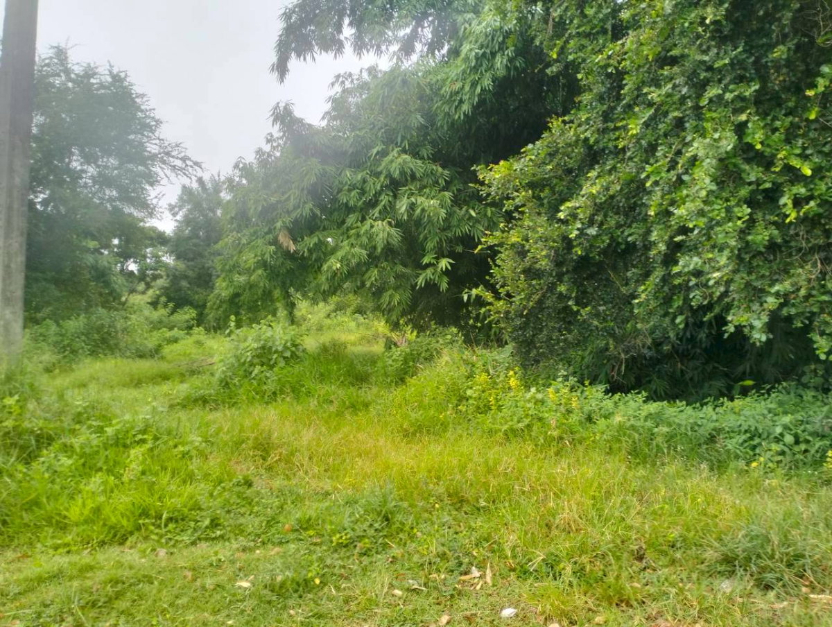 รูป ขายที่ดิน21ไร่ทางหลวงแผ่นดินหมายเลข208ขอนแก่น-ยางตลาด ต.โคกสี อ.เมืองขอนแก่น - รูปที่ 13/17