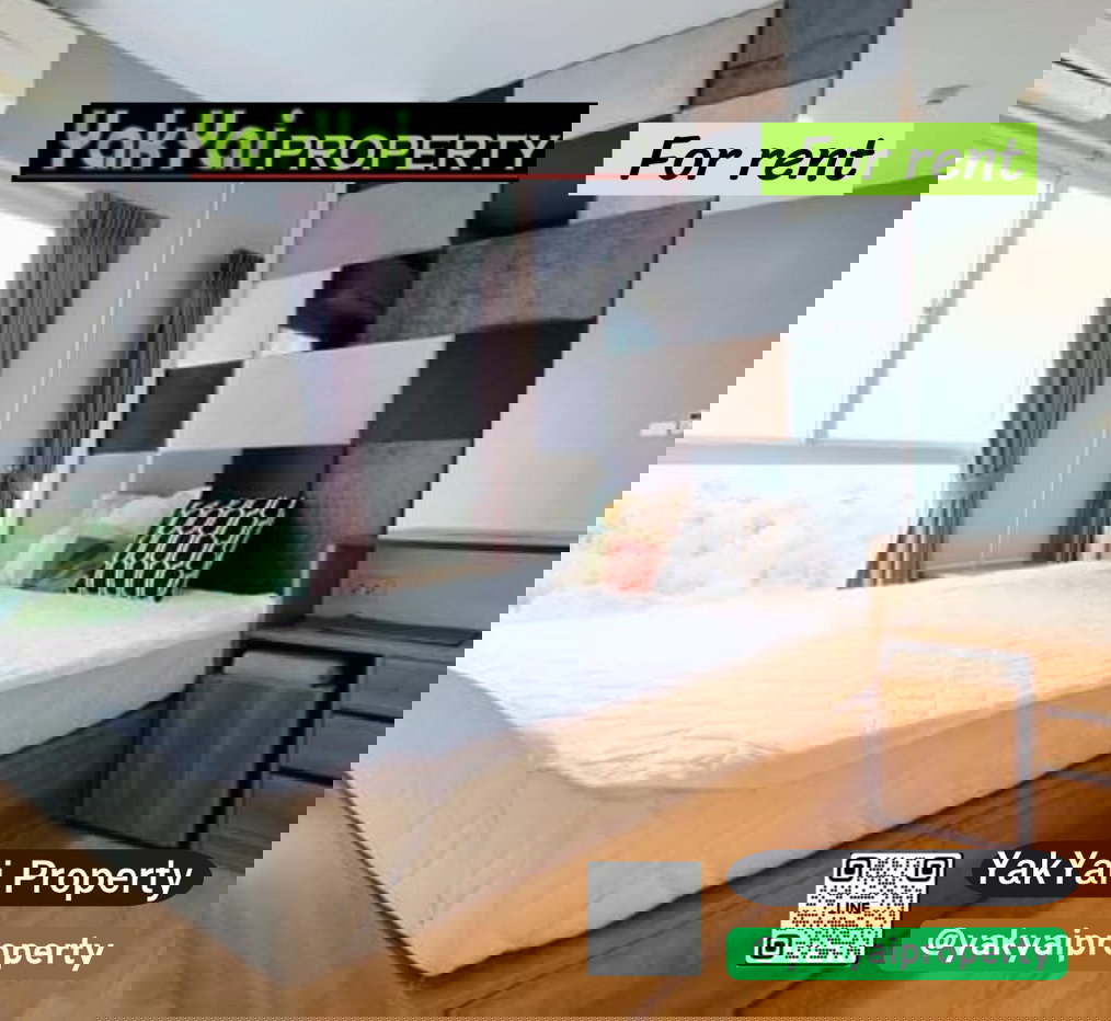 รูป ให้เช่า The parkland lite ใกล้ BTS ปากน้ำ 🚝จากสถานีปากน้ำ สามารถเดินเท้าได้สะดวก พร้อมเฟอร์นิเจอร์และเครื่องใช้ไฟฟ้าครบ - รูปที่ 1/12