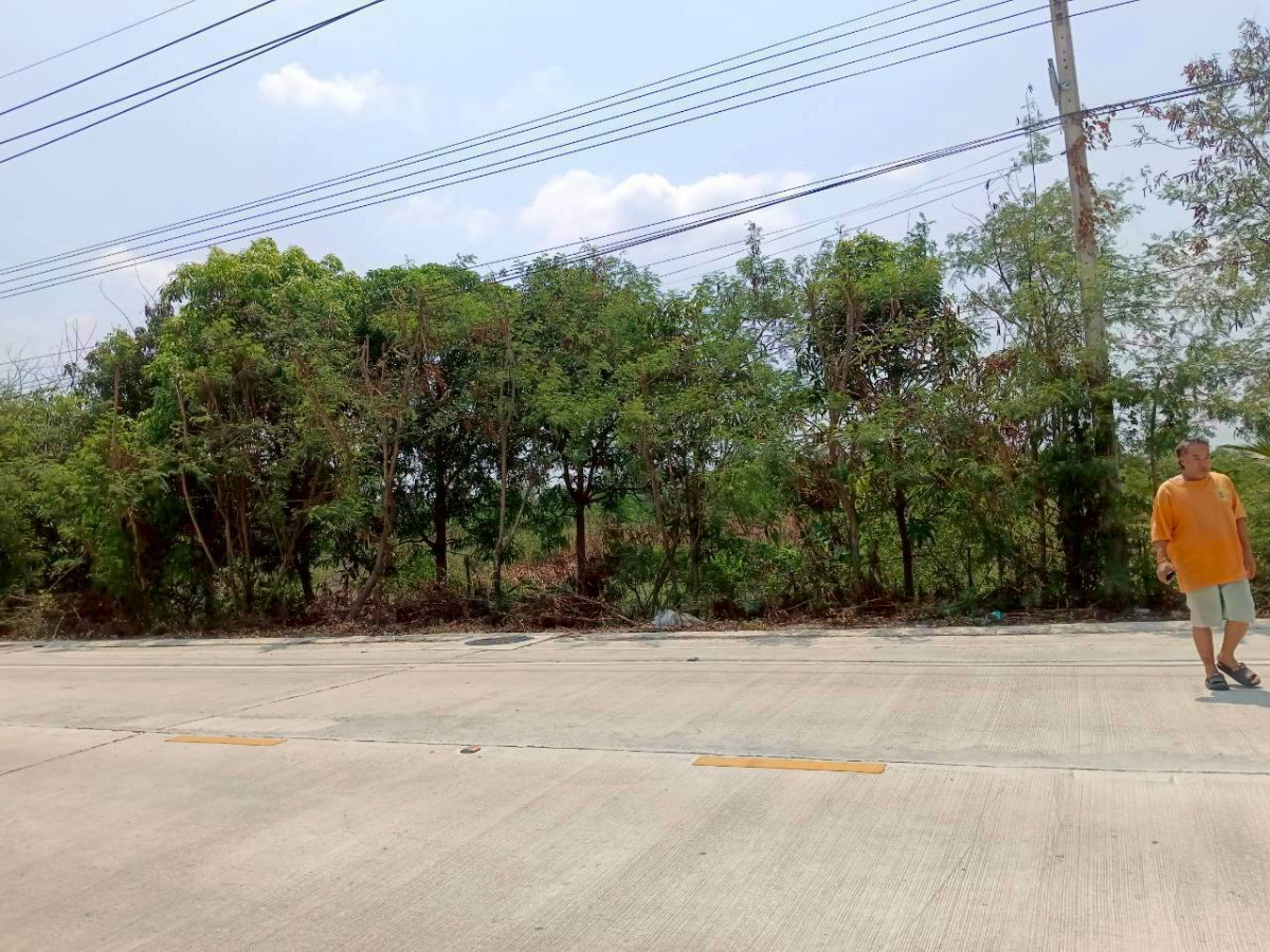 รูป ขายที่ดินแปลงสวย 9 ไร่  ใกล้เซ็นทรัลเวสต์เกต  บ้านใหม่ บางใหญ่  นนทบุรี - รูปที่ 4/6