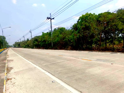 ที่ดิน บางใหญ่ นนทบุรี : ขายที่ดินแปลงสวย 9 ไร่  ใกล้เซ็นทรัลเวสต์เกต  บ้านใหม่ บางใหญ่  นนทบุรี