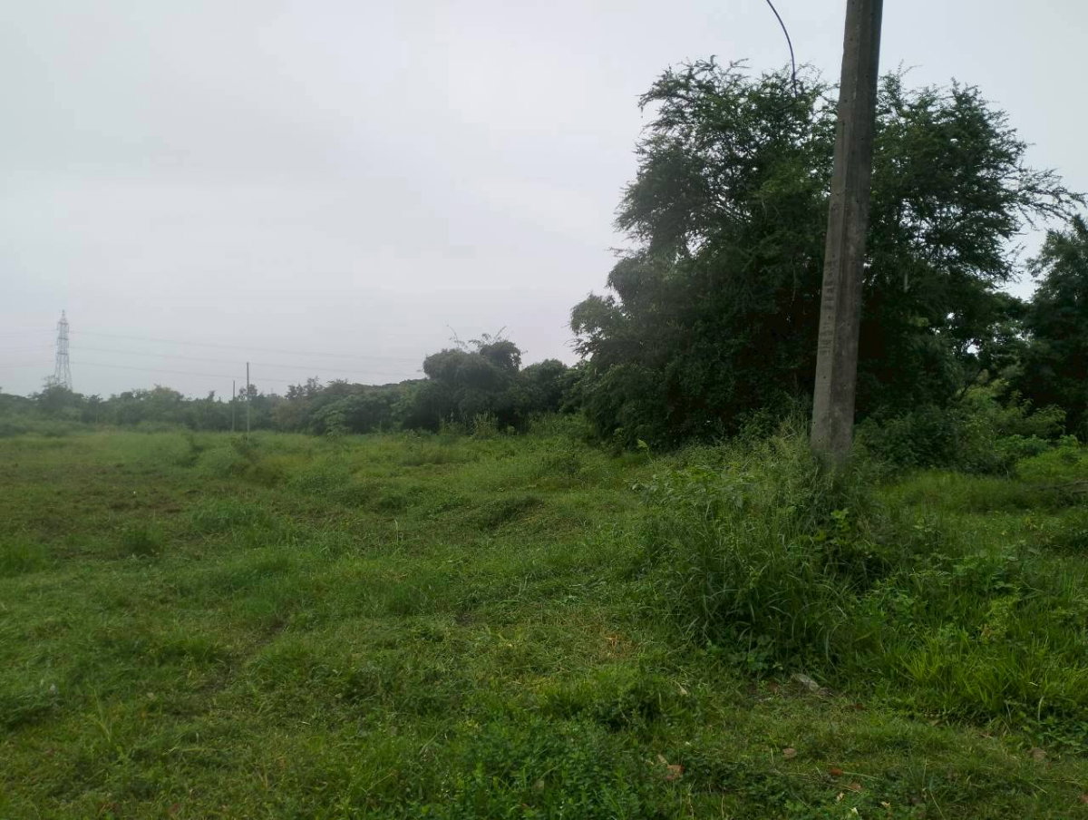 รูป ขายที่ดิน21ไร่ทางหลวงแผ่นดินหมายเลข208ขอนแก่น-ยางตลาด ต.โคกสี อ.เมืองขอนแก่น - รูปที่ 15/17