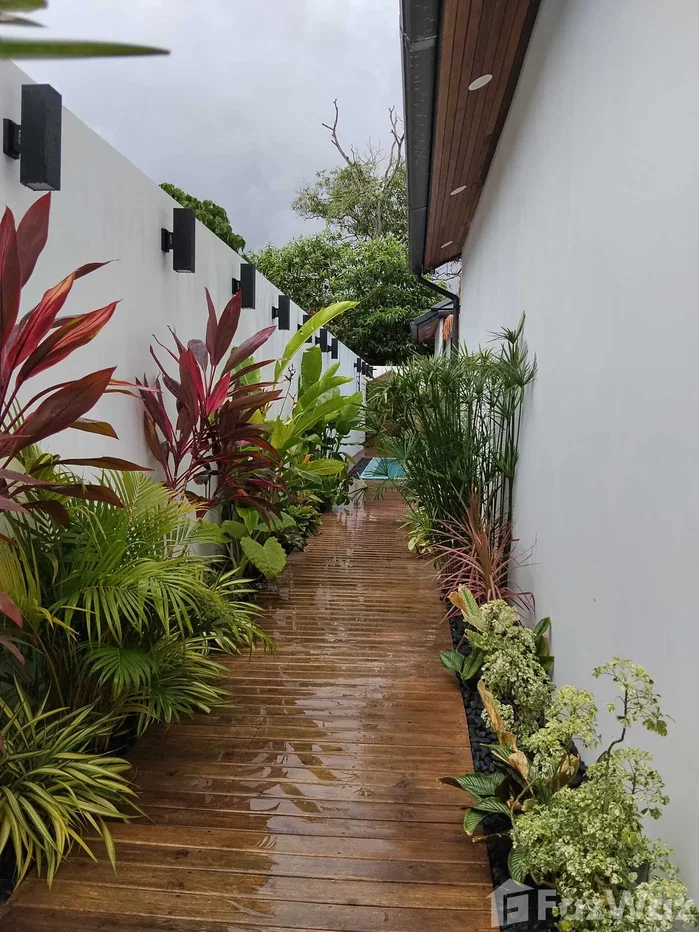 รูป ขาย วิลล่า 3 ห้องนอน ใน บ่อผุด, สุราษฎร์ธานี 6105684 - รูปที่ 65/72