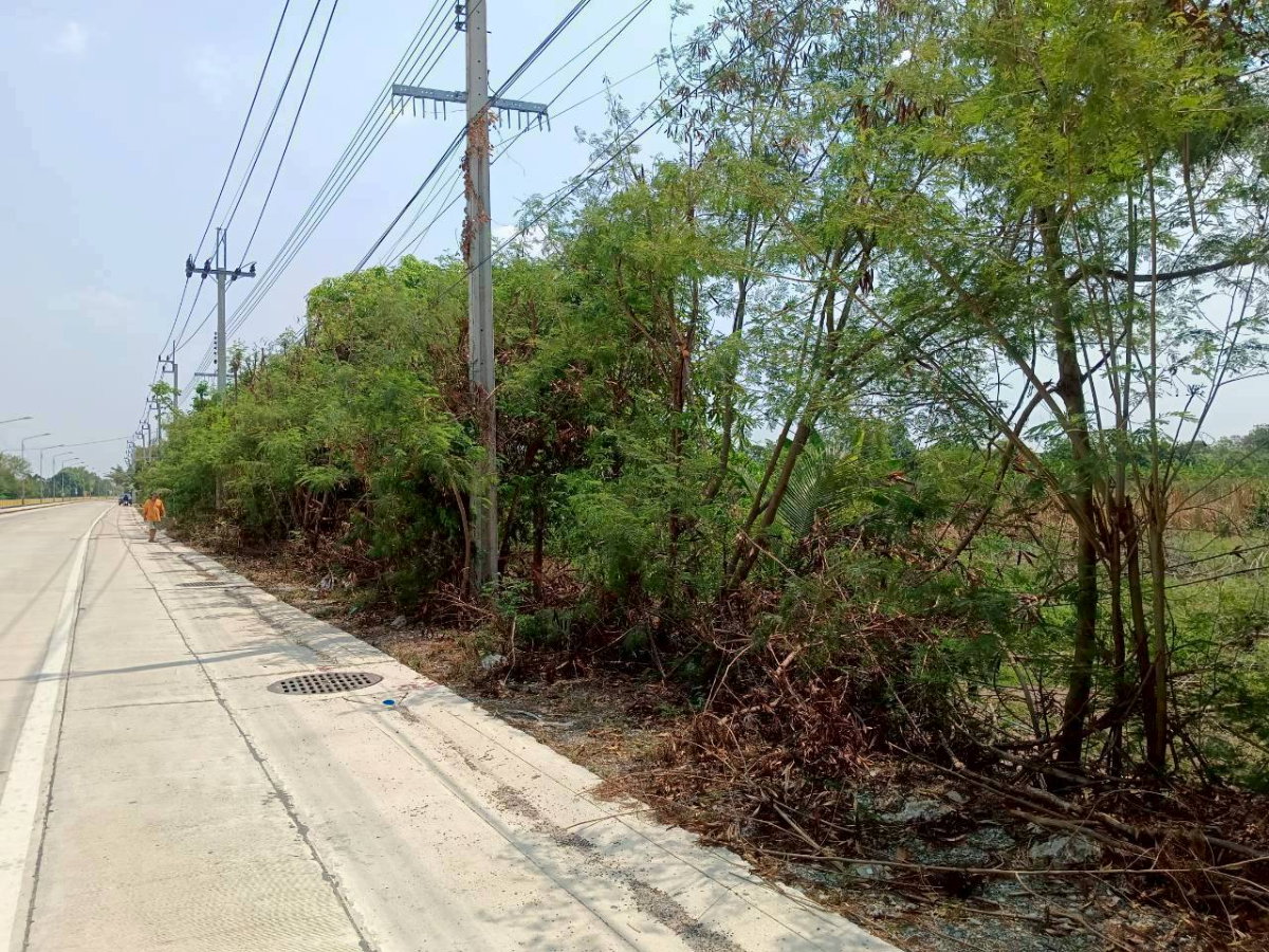 รูป ขายที่ดินแปลงสวย 9 ไร่  ใกล้เซ็นทรัลเวสต์เกต  บ้านใหม่ บางใหญ่  นนทบุรี - รูปที่ 3/6