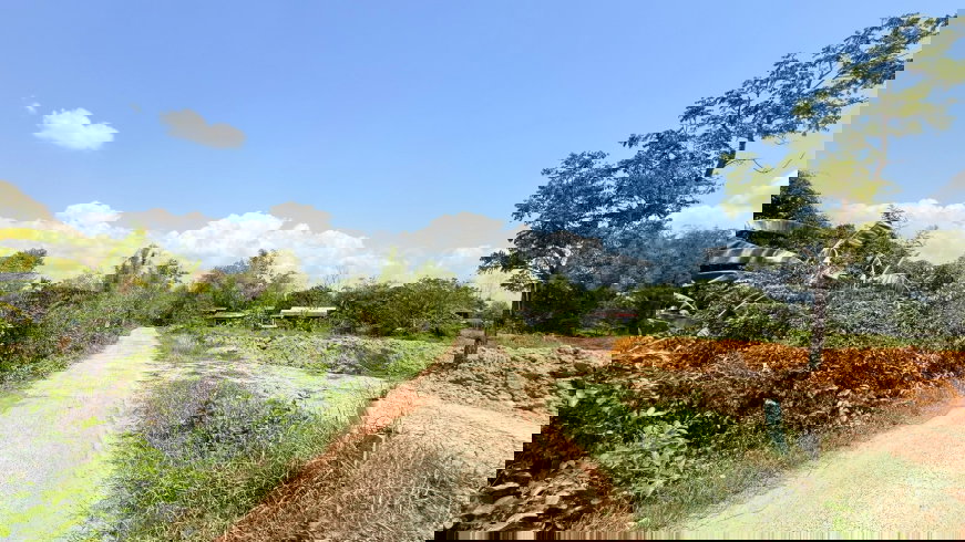 รูป ที่ดิน 1 ไร่ 200 ตารางวา อำเภอเมืองนครนายก ใกล้แยกศรีนาวา - รูปที่ 2/8