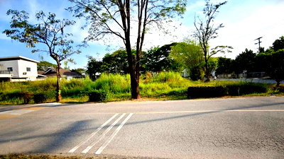 ที่ดิน วัดสุวรรณประดิษฐ์ (วัดช่างคำน้อย) : ขายที่ดินตำบลสันผักหวานในหมู่บ้านวังตาลหางดงพร้อมโอน