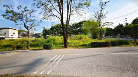 ขายที่ดินตำบลสันผักหวานในหมู่บ้านวังตาลหางดงพร้อมโอน