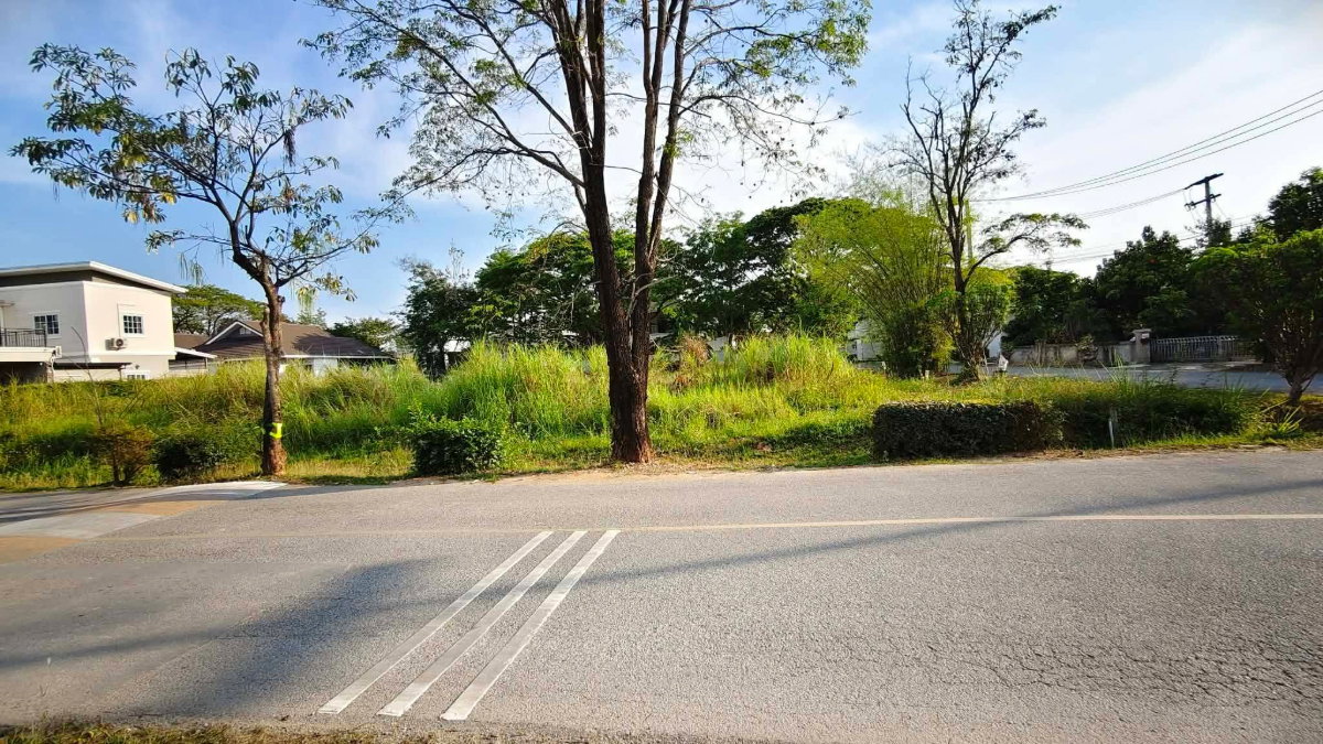 รูป ขายที่ดินตำบลสันผักหวานในหมู่บ้านวังตาลหางดงพร้อมโอน - รูปที่ 1/2