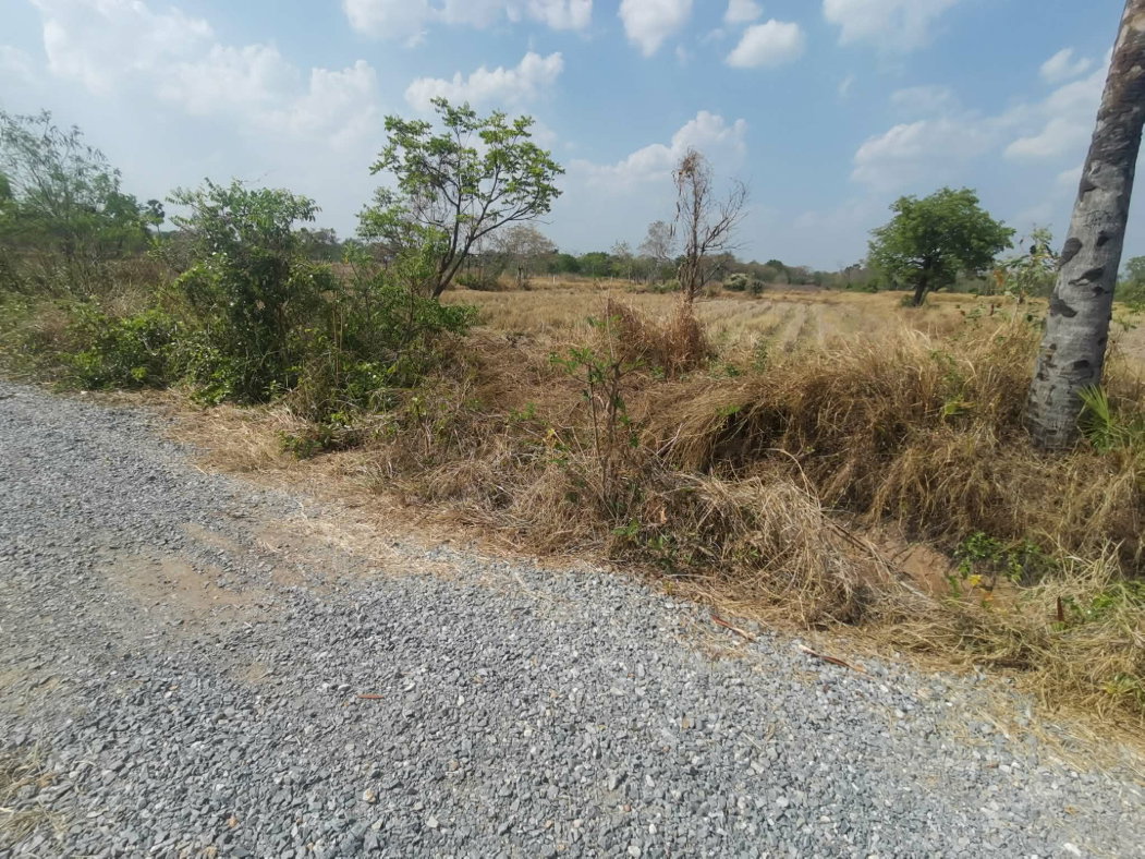 รูป ขายที่ดินโนนไทย ถ.บ้านตะกร้อ ใกล้มอเตอร์เวย์ ทำเลอนาคต ราคาดี 1.3 ลบ. เหมาะลงทุน–ปลูกบ้าน - รูปที่ 6/13