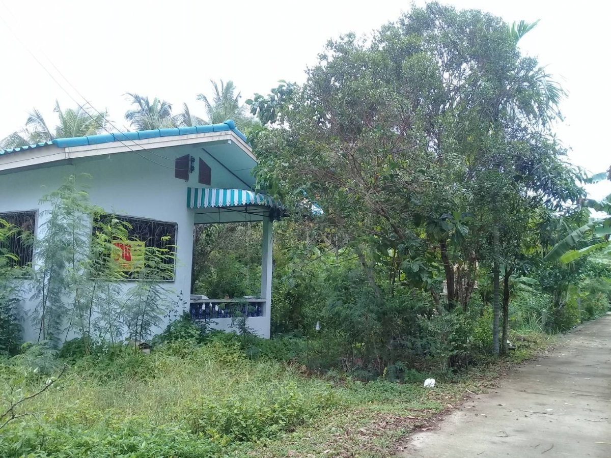 รูป ขายบ้านชั้นเดียวพร้อมที่ดิน อ.ปากพนัง จ.นครศรีธรรมราช พร้อมเข้าอยู่ ทำเลดี ใกล้กรมชลประทาน  - รูปที่ 3/6