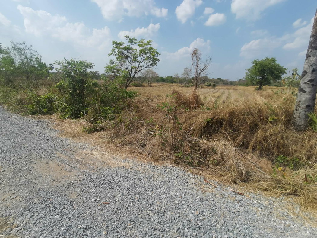 รูป ขายที่ดินโนนไทย ถ.บ้านตะกร้อ ใกล้มอเตอร์เวย์ ทำเลอนาคต ราคาดี 1.3 ลบ. เหมาะลงทุน–ปลูกบ้าน - รูปที่ 7/13