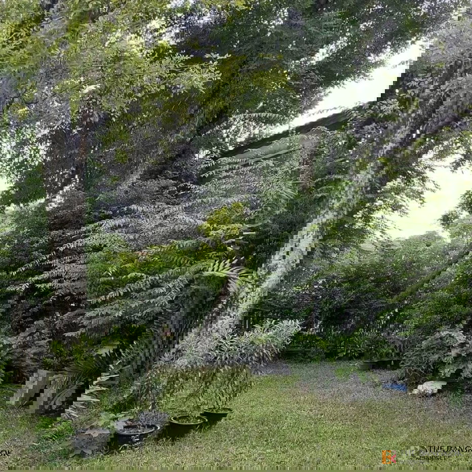 รูป Rare Unit 💎 Sammakorn Ramkhamhaeng 112 🏡 บ้านเดี่ยวบรรยากาศร่มรื่น ใกล้เมือง เดินทางสะดวก - รูปที่ 10/10