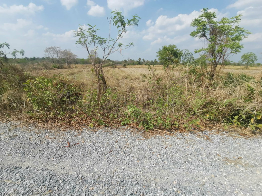 รูป ขายที่ดินโนนไทย ถ.บ้านตะกร้อ ใกล้มอเตอร์เวย์ ทำเลอนาคต ราคาดี 1.3 ลบ. เหมาะลงทุน–ปลูกบ้าน - รูปที่ 8/13