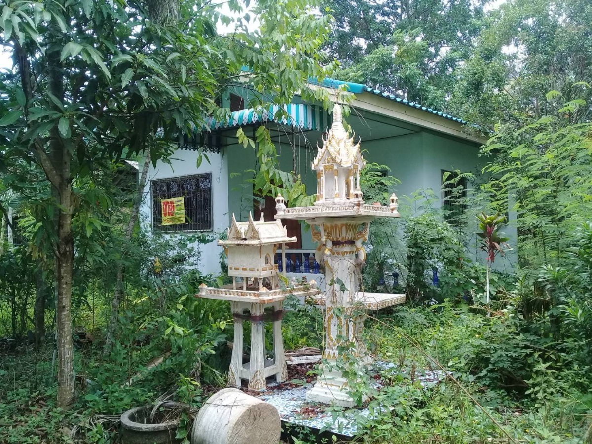 รูป ขายบ้านชั้นเดียวพร้อมที่ดิน อ.ปากพนัง จ.นครศรีธรรมราช พร้อมเข้าอยู่ ทำเลดี ใกล้กรมชลประทาน  - รูปที่ 4/6